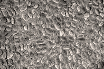 sepia gravel or brown pebble and scree with stone in cement wall or concrete floor and ground for foot relax massage or health spa and interior or exterior decor and for retro texture background