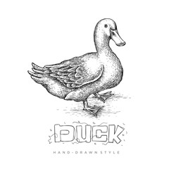 realistic duck vector with abstract hand drawn style, black and white animal illustration