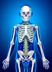 3d rendered medically accurate illustration of a young boy lymphatic system