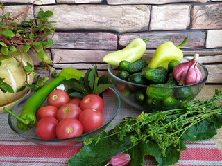 Food still life on the kitchen table pepper tomatoes cucumbers cherry plum garlic dill herbs grape leaves