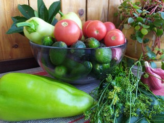 Food still life on the kitchen table pepper tomatoes cucumbers cherry plum garlic dill herbs grape leaves