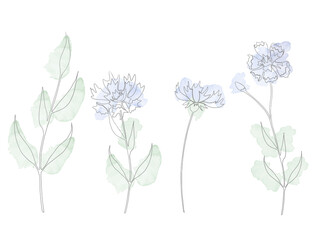 Vector watercolour set of different blue cornflowers