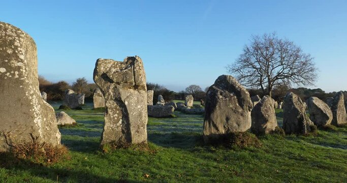 The stone alignments,Carnac, Morbihan, Brittany, France