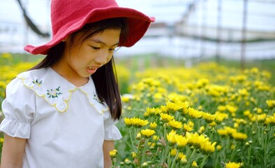 A cute young Asian girl in a blossoming Chrysanthemum flower field, feeling happy, smiling.