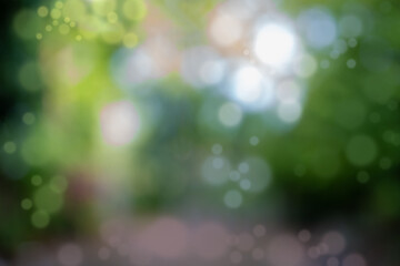Obraz premium Blurred focus. Blurred abstract background and blurred nature background.
