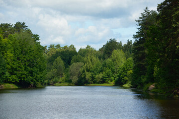Summer forest river reflection landscape. Forest river reflection view. Forest river landscape. Green forest river view
