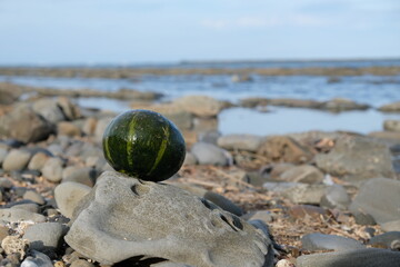 Pumpkin on a rock at the beach.