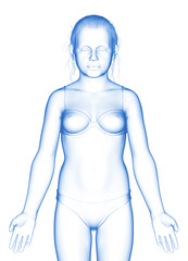 3d rendered illustration of the young Girl body