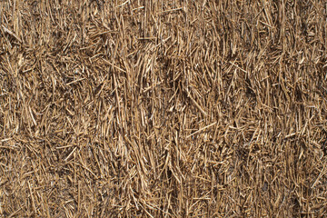 Closeup of texture of a pack of hay