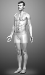 Fototapeta premium 3d rendered illustration of the male body