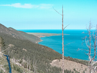 dried tree trunks after a fire on the background of the picturesque Lake Baikal