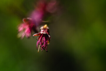 Dreamy nature scenes...