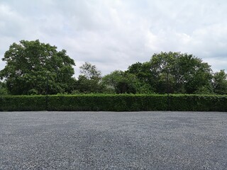 Parking lot Asphalt sprinkled with gravel on tree bush nature background