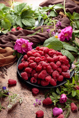 Summer still life with, raspberries, flowers and meadow grasses.