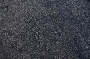 Closeup shot of hieroglyphs on a textured old stone