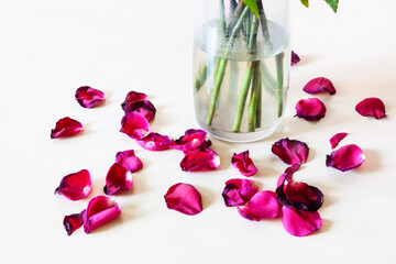 Fototapeta na wymiar fallen petals of red rose flower near glass vase on pale brown table