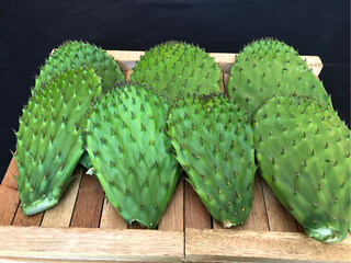 Typical vegetable of Mexico (nopal)