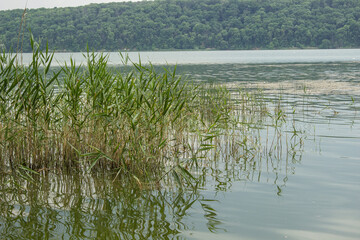 fishing on the river reservoir Oskol Ukraine