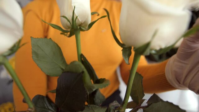 saleswoman holds white roses on long stems in floral shop