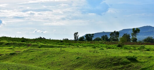 landscape , blue sky with clouds