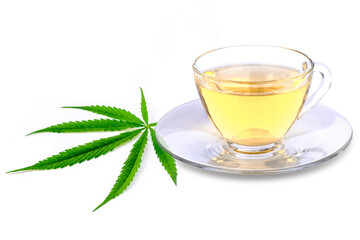 Closeup cup glass of Marijuana herbal tea with cannabis green leaf isolated on white background. 