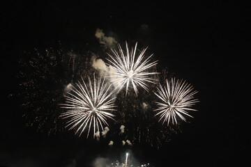 Fireworks with a dark black background, Bright beautiful colorful firework. Festive concept.