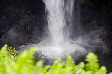 Breathtaking Akaka Falls in National State Park on Big Island of Hawaii with lush vegetation and...