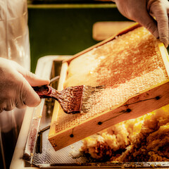 uncapping honeycombs