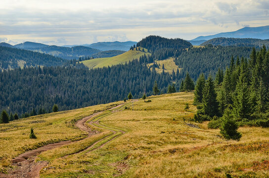 Romanian nature. Forest path on the mountain ridge. Hills with coniferous forest in background. Subalpine zone, coniferous forest