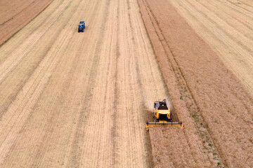 aerial view of a modern combine harvester harvesting rapeseed