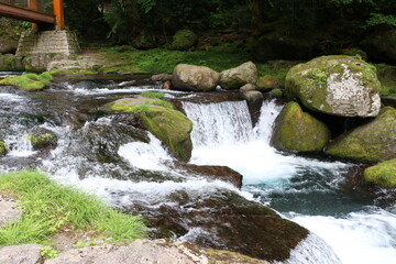 Naklejka na ściany i meble natural waterfall in japan