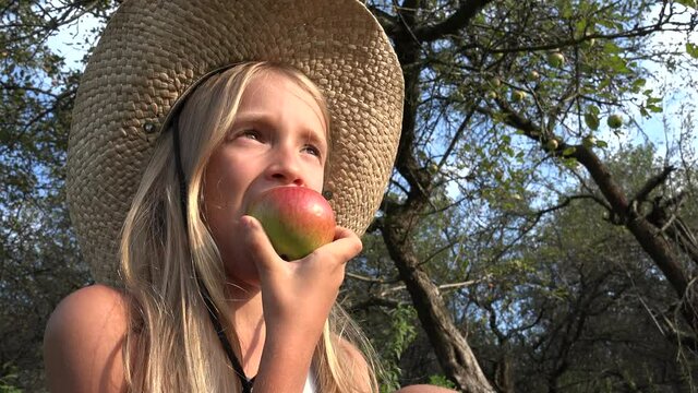 Kid Eating Apple, Child in Orchard, Kid Tasting Fruits in Tree, Farmer Girl at Village