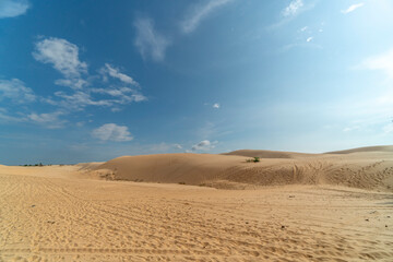 Bau Trang sand dunes, sub-Sahara desert in Binh Thuan province, Vietnam