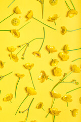 Small yellow flowers on the bright yellow background.Floral summer background. 