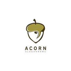 Acorn OAK inspiration simple logo ilustration vector icon template