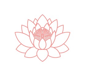 Lotus flower outline. Isolated lotus on white background
