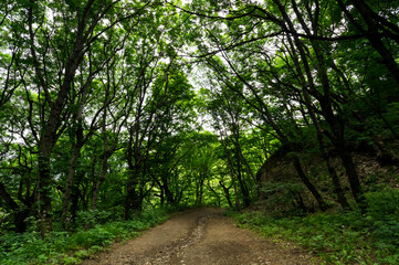 Slope of mount Beshtau