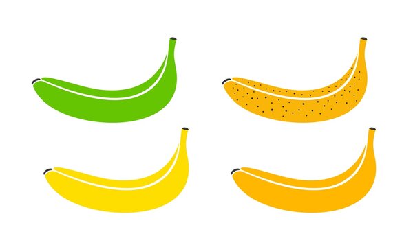 Banana logo. Banana stages of growth and ripening