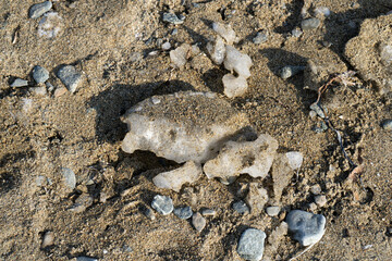 Natural background with chunks of ice in the sand