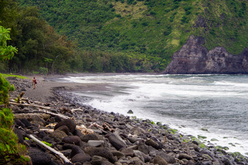 Black Sand Beach on Big Island in Hawaii lies in the famous Waipio Valley Bay and is a popular...