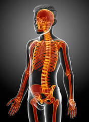 3d rendered, medically accurate illustration of a young boy skeleton system