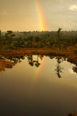 Rainbow in the middle of the pond, rest and enjoyment