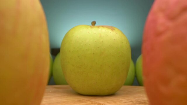 view between rows of apples. old wrinkled and young green apples together