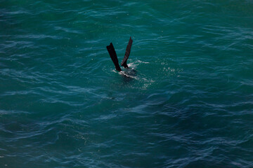 Scenes from Lennox head of various seascapes and activity, NSW, Australia