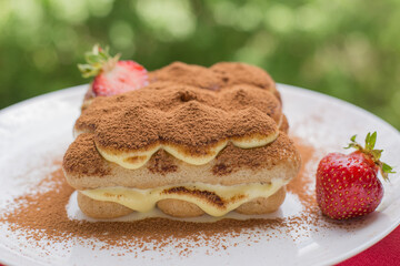 Closeup homemade tiramisu cake on a white plate. A tender Italian dessert with natural background.