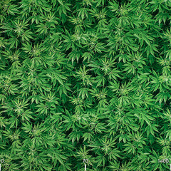 Naklejka na ściany i meble Drawing ornament on the fabric of marijuana. Fabric with natural texture, Cloth backdrop. Cannabis