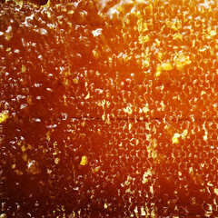 Drop of bee honey drip from hexagonal honeycombs filled with golden nectar.