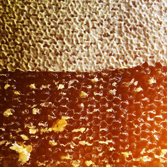 Drop of bee honey drip from hexagonal honeycombs filled with golden nectar.