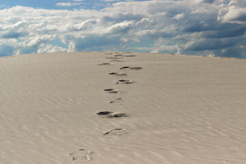 footprints of one person up the desert dune