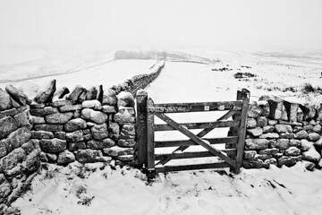 Fototapeta premium Snowy Hadrian's Wall